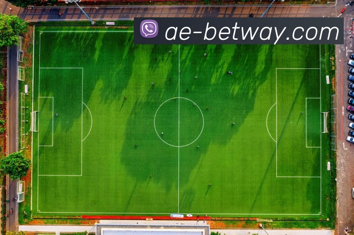 BETWAY必威官网发展历程